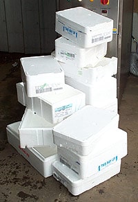 polystyrene letsrecycle