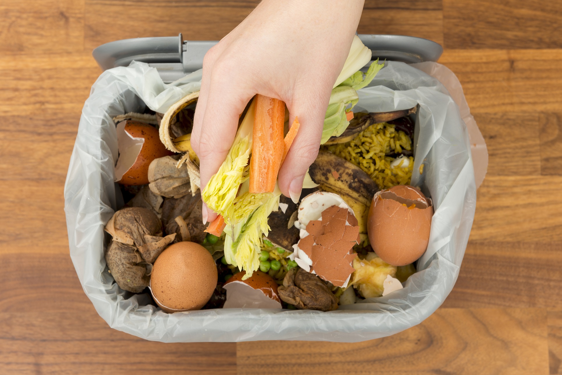 Reading Rolls Out Food Waste Service Letsrecycle