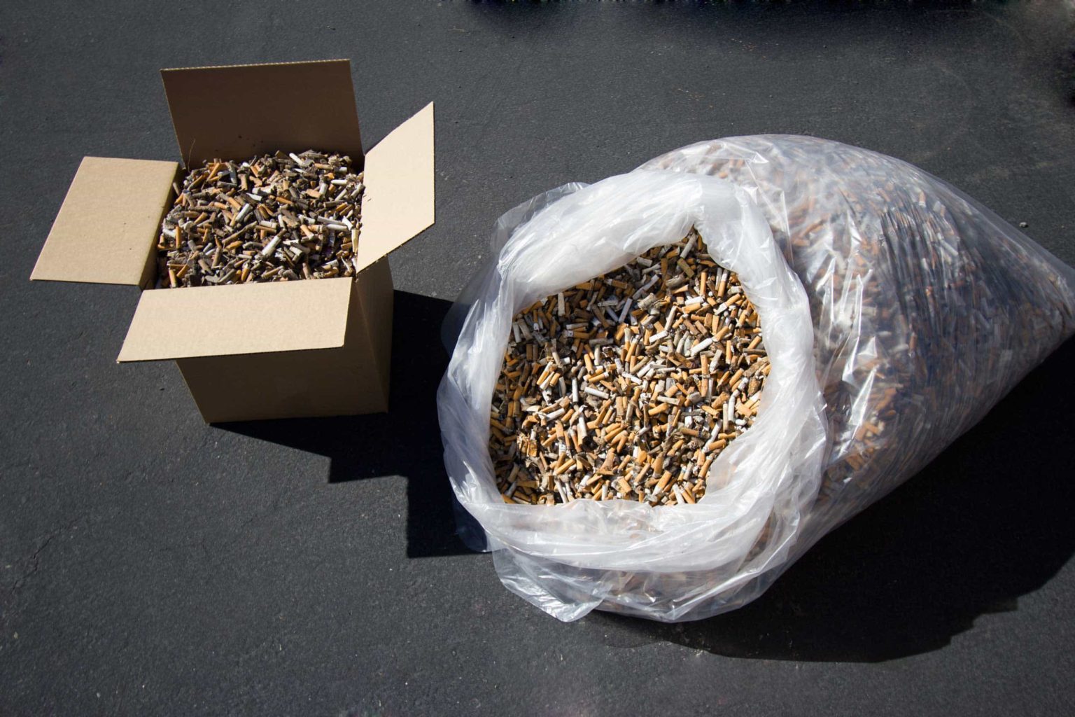 Hubbub Highlights Plastic In Cigarette Butts Letsrecycle Com   Collected Cigarette Waste Image Hi Res 1536x1024 